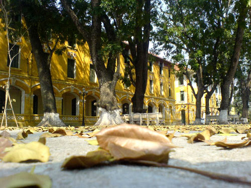 Sân trường xao xác lá