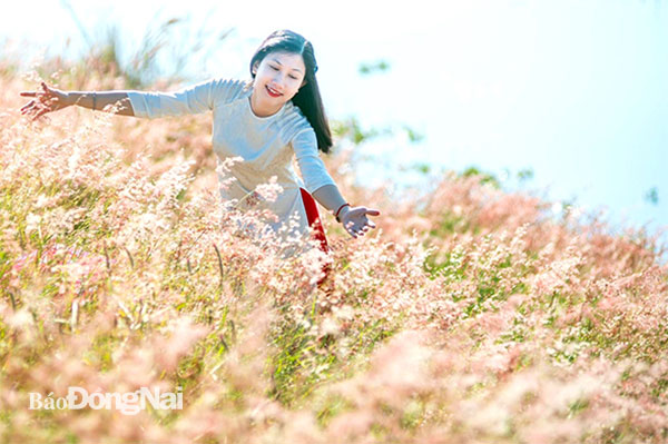 Hàng Gòn, mùa hoa cỏ ống