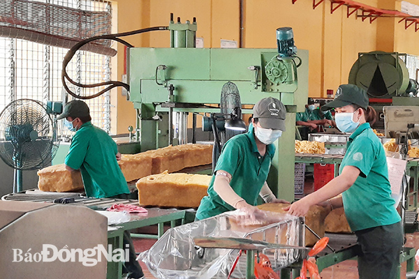 Năm 2021, nhờ nhu cầu và giá thị trường thế giới tăng cao nên ngành cao su được hưởng lợi. Trong ảnh: Chế biến mủ cao su tại một nhà máy của Công ty TNHH MTV Tổng công ty Cao su Đồng Nai