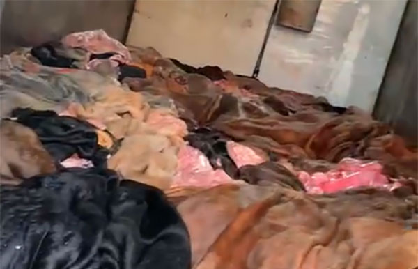 Số sản phẩm động vật được lực lượng chức năng phát hiện đang vận chuyển trên xe tải. Ảnh: Công an cung cấp