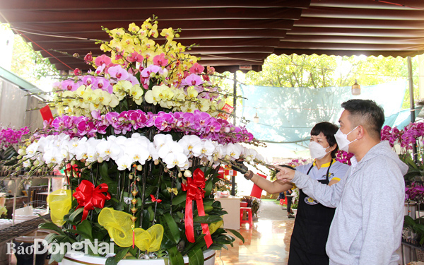 : Người dân chọn mua các loại hoa lan tại một cửa hàng hoa lan trên đường Võ Thị Sáu (TP.Biên Hòa)