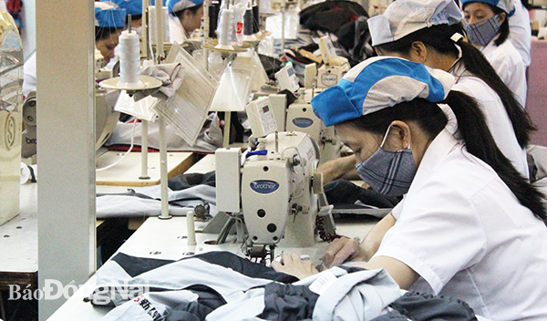 Sản xuất hàng dệt may xuất khẩu tại Công ty CP Đồng Tiến (Khu công nghiệp Amata, TP.Biên Hòa)