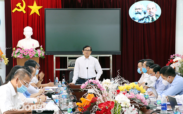Phó chủ tịch UBND tỉnh Nguyễn Sơn Hùng phát biểu tại buổi làm việc