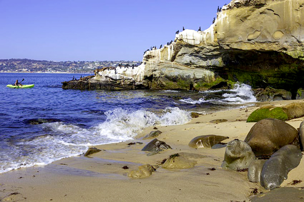 Từ thuyền kayak, du khách quan sát sư tử biển trên vách đá ở bờ biển La Jolla (bang California, Mỹ). Nguồn: Ron_Thomas/Getty Images