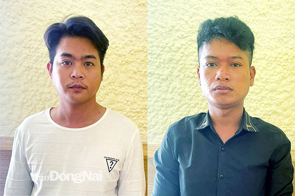 Hai đối tượng bị Công an H.Trảng Bom bắt giữ để điều tra về hành vi hủy hoại tài sản. Ảnh: Tố Tâm