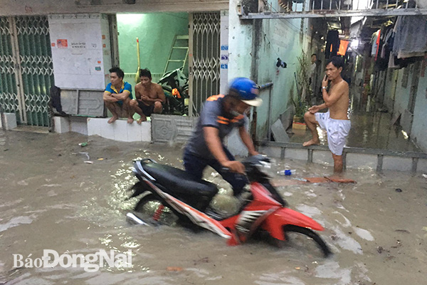 Nhiều hộ dân tại khu phố 1 phường Long Bình Tân gần trường THPT Nguyễn Hữu Cảnh cũng bị ngập nặng sau cơn mưa lớn vào rạng sáng cùng ngày