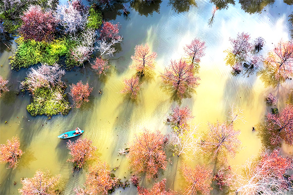 Hồ chứa nước Cầu Dầu (thuộc xã Hàng Gòn, TP.Long Khánh) hoang sơ, cổ kính làm hút hồn du khách. Ảnh: Lò Văn Hợp