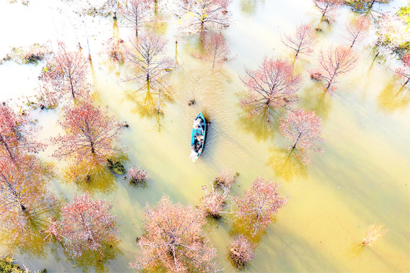 Bóng đổ trên mặt hồ