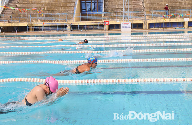 Các VĐV thi đấu giải