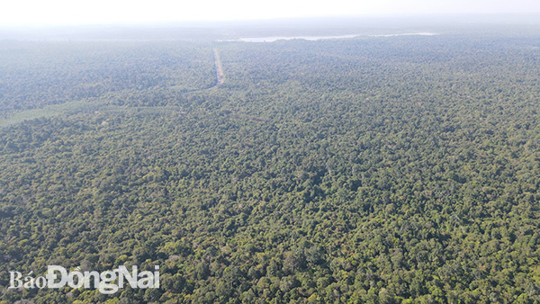 Việc xây dựng quốc lộ 13C đi qua Khu dự trữ sinh quyển thế giới Đồng Nai dự kiến sẽ sử dụng khoảng 44ha đất rừng.