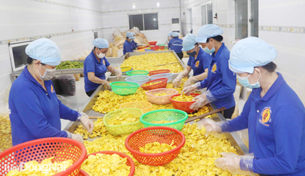Trái cây sấy Thuận Hương đạt sản phẩm OCOP có mẫu mã đẹp, dễ bày bán trong các khu, điểm du lịch.