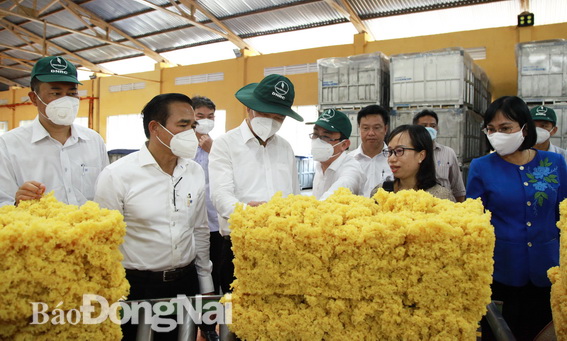 Bí thư Tỉnh ủy Nguyễn Hồng Lĩnh tham quan  nhà máy chế biến mủ cao su An Lộc (thuộc Tổng công ty cao su Đồng Nai) 