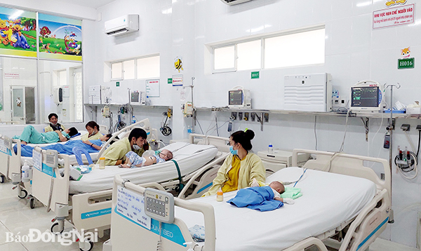 Bệnh nhân sốt xuất huyết điều trị tại Bệnh viện Nhi đồng Đồng Nai