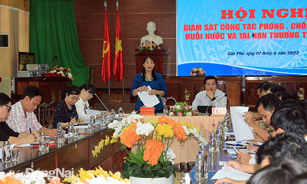 Bà Lê Thị Thái, Chủ tịch Hội LHPN tỉnh phát biểu tại buổi giám sát 
