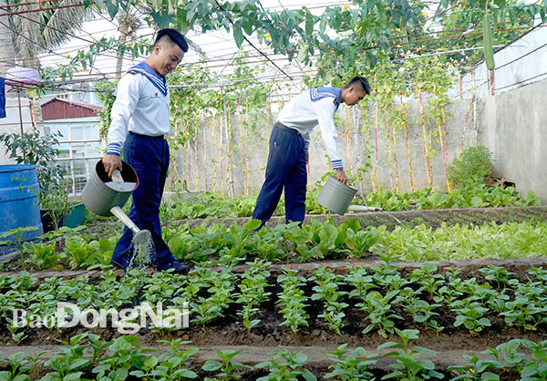 4. Ngoài việc trực chốt, sẵn sàng chiến đấu, việc trồng rau, củ quả để cải thiện bữa ăn cũng là niềm vui nơi tiền tiêu Tổ quốc của những chàng lính trẻ khi làm nhiệm vụ trên đảo Song Tử Tây