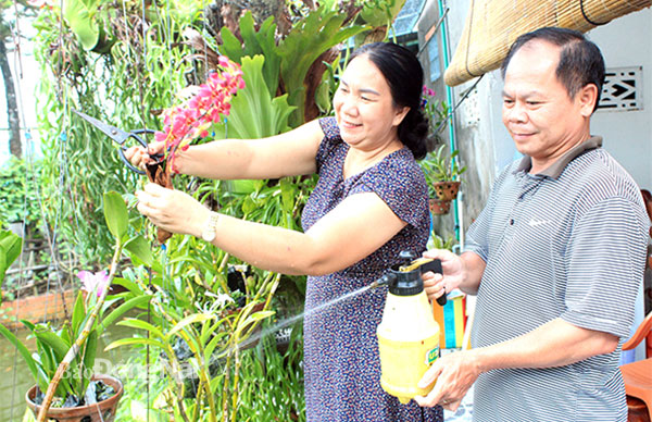Vợ chồng bà Công Thị Lợi và ông Thiều Đình Việt (hiện đã nghỉ hưu) chăm sóc hoa. Ảnh: Nga Sơn