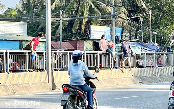 Nhiều người cố tình trèo qua hàng rào trên dải phân cách cứng ở đường Nguyễn Ái Quốc (P.Hóa An, TP.Biên Hòa) để qua đường rất dễ va chạm với các phương tiện đang lưu thông trên đường