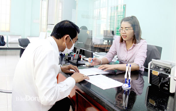 Tiếp tục triển khai các gói vay vốn để phục hồi, phát triển kinh tế - xã hội