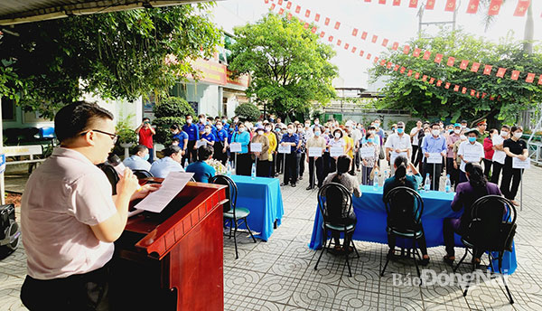 Lễ ra quân tại huyện Thống Nhất. Ảnh: CTV