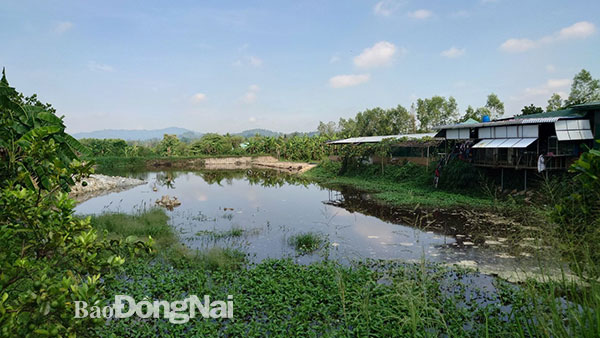 Hồ chứa nước trong trang trại của Công ty Huỳnh Gia Phúc. Ảnh: Sở TN-MT
