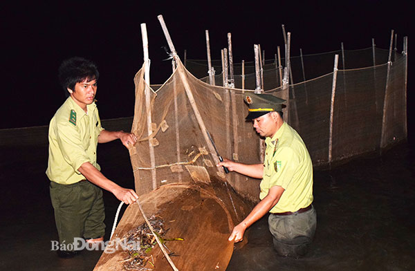Lực lượng kiểm lâm tháo gỡ, phá bỏ những ngư cụ đánh bắt thủy sản trái phép ở hồ Trị An. Ảnh: Thành Nhân