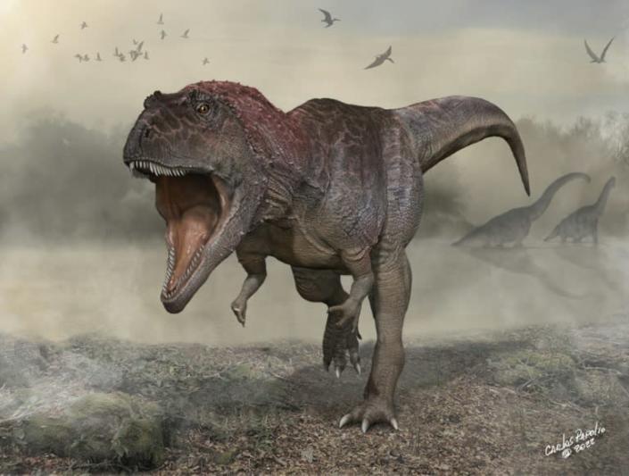 This Dec. 13, 2021, illustration courtesy of the University of Minnesota shows a new dinosaur Meraxes gigas. 