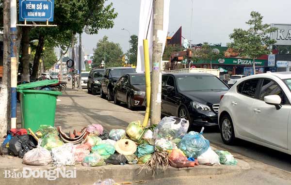 Rác không phân loại được bỏ chung vào một bịch và vứt bừa bãi khiến đường phố TP.Biên Hòa nhếch nhác. Ảnh: P.Liễu
