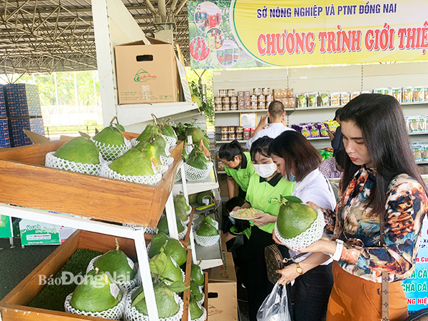 Người tiêu dùng chọn mua các sản phẩm OCOP tại buổi khai mạc Chương trình Giới thiệu và bán sản phẩm OCOP tỉnh Đồng Nai tại Trung tâm MM Mega Market Biên Hòa. Ảnh: B.Nguyên