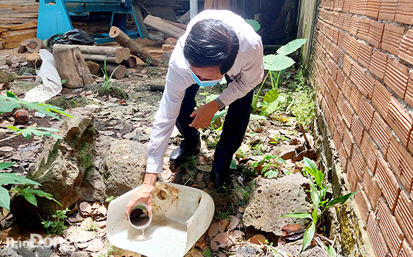 Lăng quăng phát triển trong hộp nhựa chứa nước ở vườn của một gia đình trên địa bàn TT.Định Quán, H.Định Quán