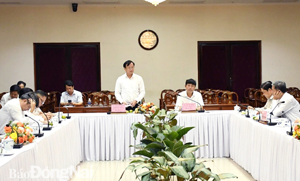 Chủ tịch UBND tỉnh Cao Tiến Dũng phát biểu tại buổi làm việc (CTT – V.Nam)