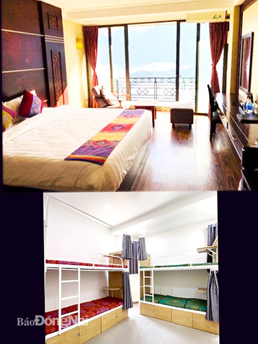 Được đơn vị tổ chức tour chuyển cho xem phòng khách sạn 3 sao qua mạng (hình trên), nhưng khi đến nơi gia đình chị Lê Thúy Bình (ngụ P.Phước Tân, TP.Biên Hòa) lại phải ở trong phòng nghỉ tập thể giường tầng (hình dưới). Ảnh: Nhân vật cung cấp