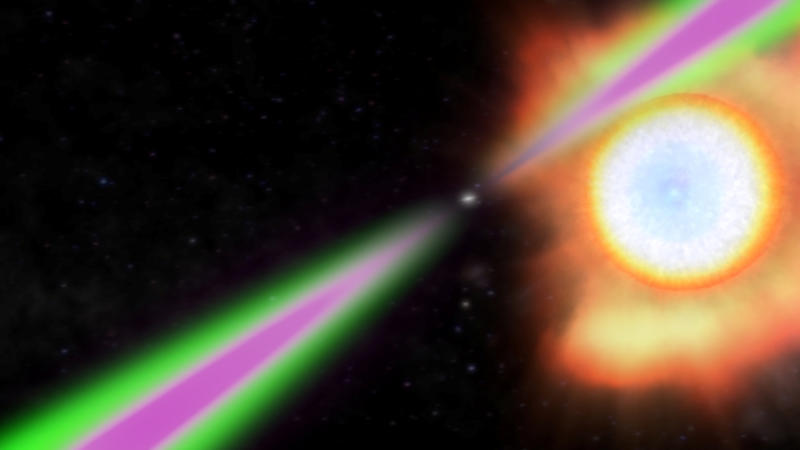A spinning neutron star periodically swings its radio (green) and gamma-ray (magenta) beams past Earth in this artist's concept of a black widow pulsar. The pulsar heats the facing side of its stellar partner to temperatures twice as hot as the sun's surface and slowly evaporates it.