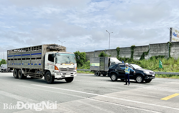 Nhân viên Trạm thu phí quốc lộ 51 điều tiết phương tiện di chuyển vào các làn thu phí