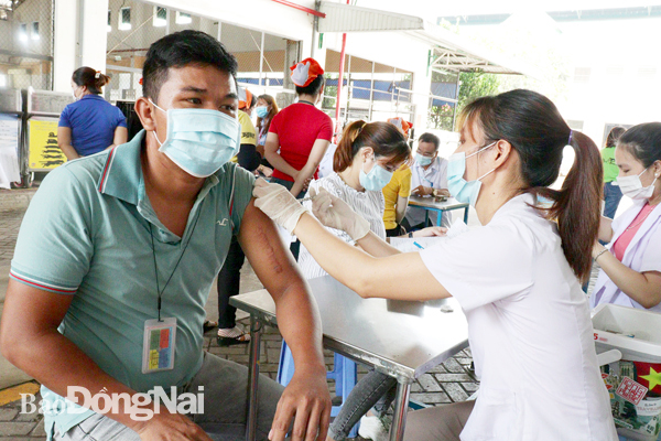 Công nhân Công ty TNHH Pousung Việt Nam (H.Trảng Bom) được tiêm vaccine phòng Covid-19 mũi 3, 4 tại công ty. Ảnh: T.MY