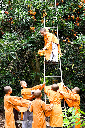 Giải ba - Chung một niềm vui. Ảnh: Nguyễn Văn Thạnh