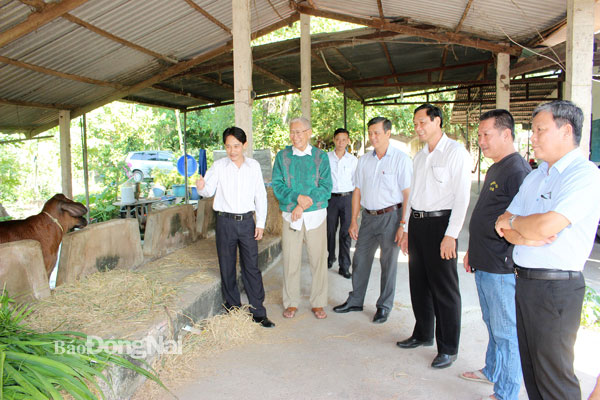 Phó chủ tịch UBND tỉnh Võ Văn Phi (thứ ba từ phải qua) tham quan mô hình nuôi bò sữa sạch tại H.Long Thành. Ảnh: Hoàng Lộc