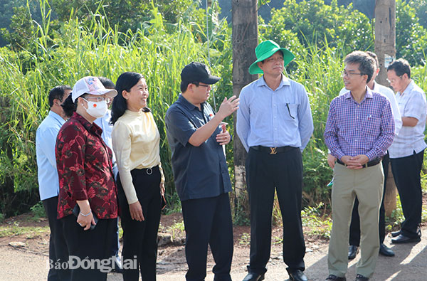 "Doanh nghiệp sai phạm đến mức nào thì xử lý ở mức đó, nhưng nếu dự án triển khai đúng pháp luật, tốt cho người dân thì vẫn phải làm"