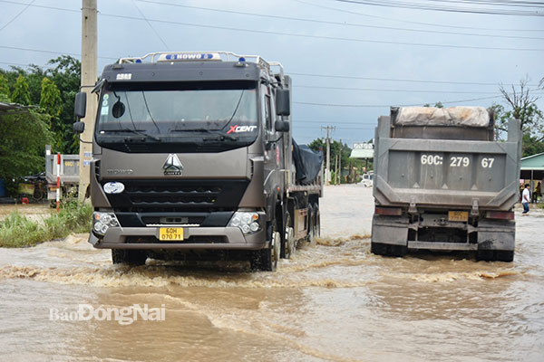 Đường chuyên dùng vào mỏ đá Tân Cang (KP.Miễu, P.Phước Tân, TP.Biên Hòa) ngập nặng trong sáng 7-9. Ảnh: CTV