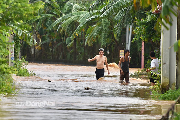 Người dân KP.Miễu (P.Phước Tân, TP.Biên Hòa) bị ảnh hưởng sinh hoạt do nước ngập sâu từ rạng sáng 7-9. Ảnh: CTV
