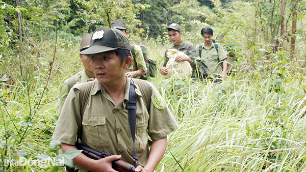 Chú thích hình: Lực lượng kiểm lâm của Khu Bảo tồn thiên nhiên - Văn hóa Đồng Nai làm nhiệm vụ tuần tra trong rừng. Ảnh Thành Nhân