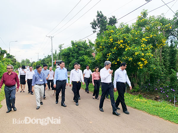 Tiếp tục phấn đấu xây dựng nông thôn thịnh vượng