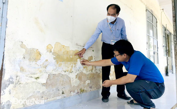 Một đoạn tường của Trường THPT Nguyễn Hữu Cảnh (TP.Biên Hòa) bị ngập nước bong tróc, hư hỏng. Ảnh: P.Liễu