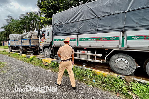 Trạm Cảnh sát giao thông Suối Tre (Phòng Cảnh sát giao thông Công an tỉnh) kiểm tra tải trọng xe tải trên quốc lộ 1. Ảnh minh họa 