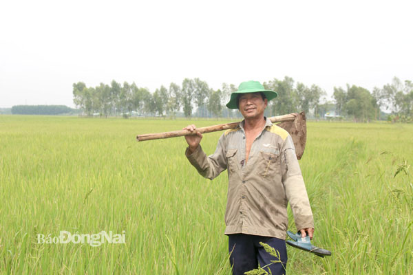 Chuyện bám đồng, giữ đất ở Vĩnh Thanh