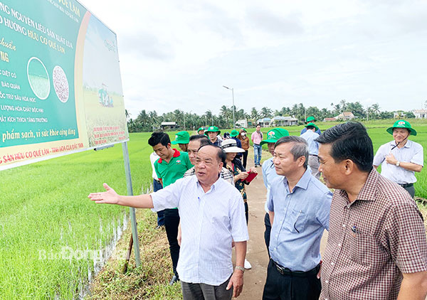 Chủ tịch Tập đoàn Quế Lâm Nguyễn Hồng Lam tham quan mô hình sản xuất lúa hữu cơ tại H.Cẩm Mỹ. Ảnh: B.Nguyên