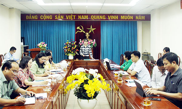 Giám đốc Sở Công thương Trương Thị Mỹ Dung phát biểu tại buổi làm việc. Ảnh: Hải Hà