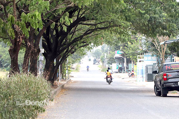 Khu dân cư Tín Khải, một trong những điểm được đầu tư hạ tầng tốt nhất tại xã Thạnh Phú. Ảnh: N.Liên