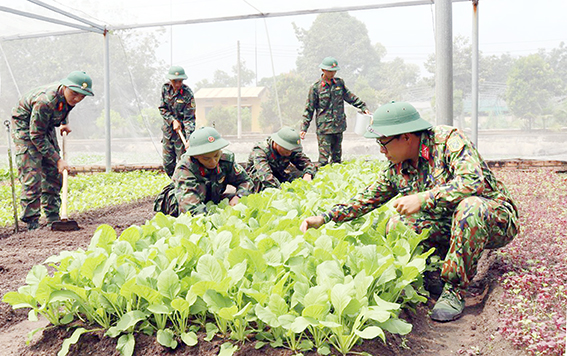 Cán bộ, chiến sĩ tăng gia trồng rau xanh phục vụ cải thiện bữa ăn bộ đội. Ảnh: N.Hà
