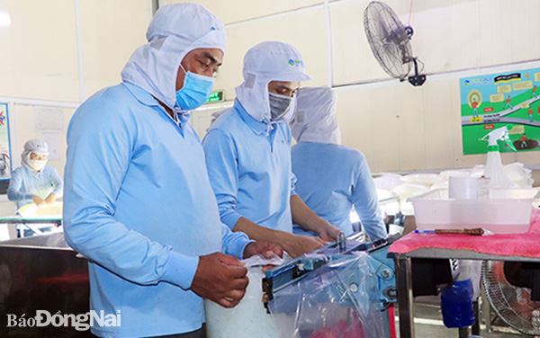 Công ty CP Thực phẩm GC ở Khu công nghiệp Hố Nai (H.Trảng Bom) tăng đơn hàng xuất khẩu 20%. Ảnh: H.Giang