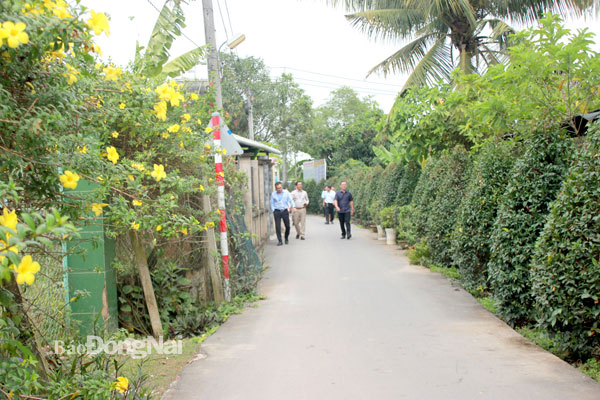 Tuyến đường sáng - xanh - sạch - đẹp tại xã Bình Lợi (H.Vĩnh Cửu). Ảnh: B.Nguyên